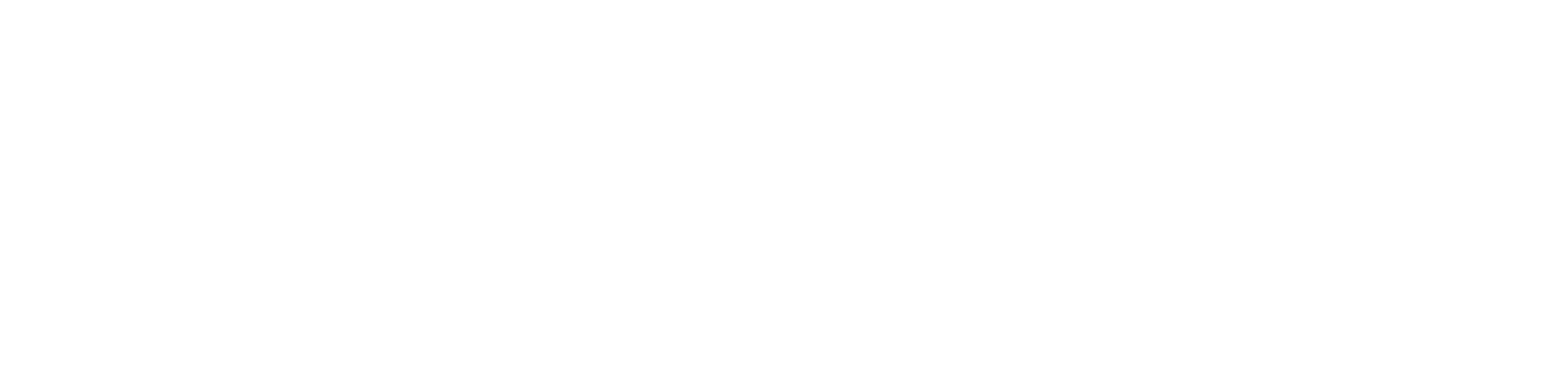 SMARTMAP FW LIGHT